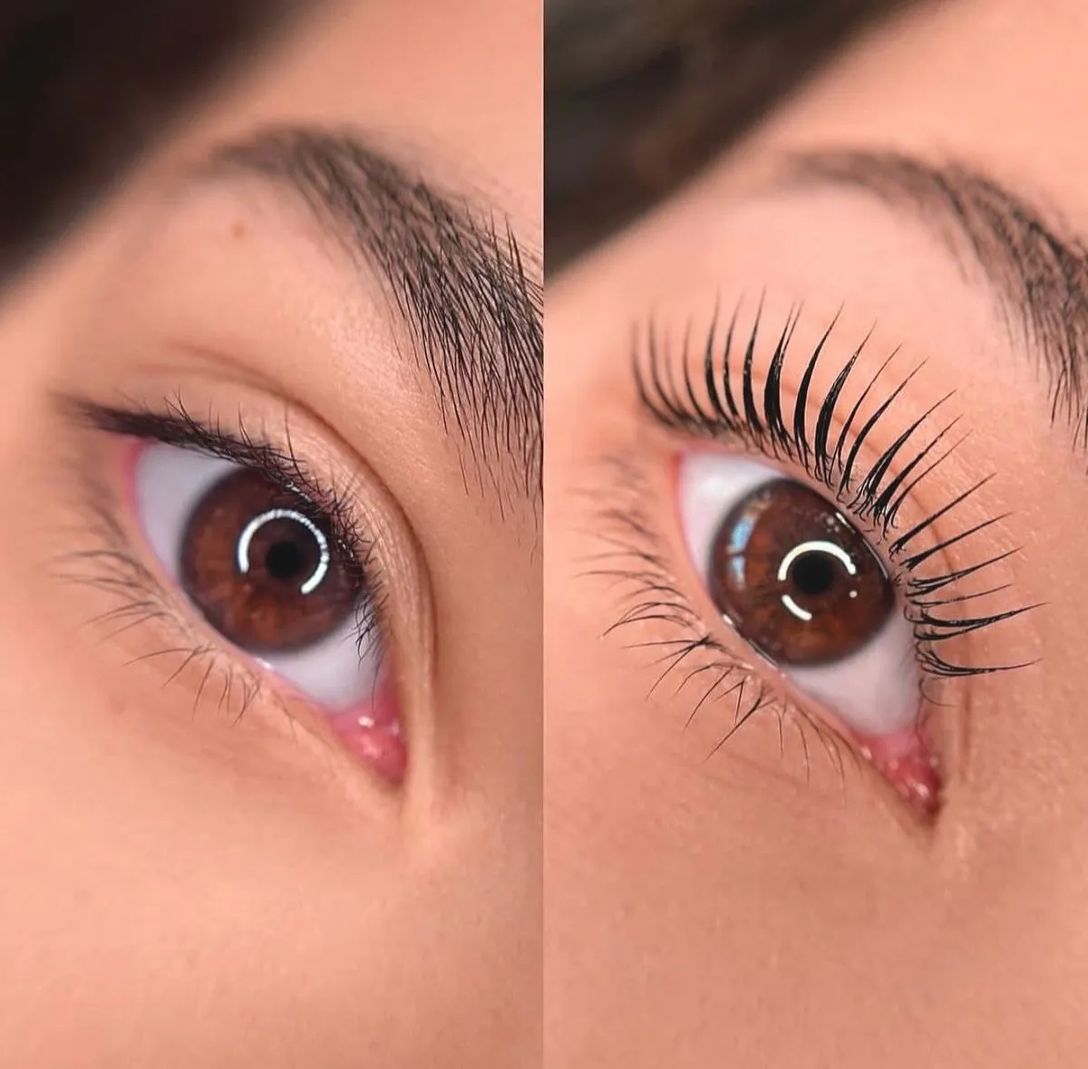 Lash Lift